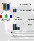 Genesis genesis